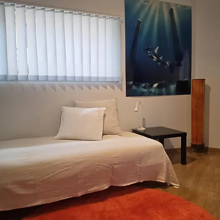 Luxury Duplex With Rooftop, View Of Cathedral * Lausanne