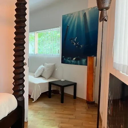 Luxury Duplex With Rooftop, View Of Cathedral Lausanne