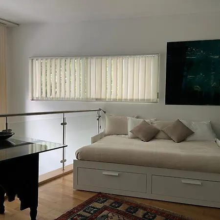 Luxury Duplex With Rooftop, View Of Cathedral Apartment *