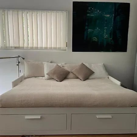 Luxury Duplex With Rooftop, View Of Cathedral Apartment Lausanne