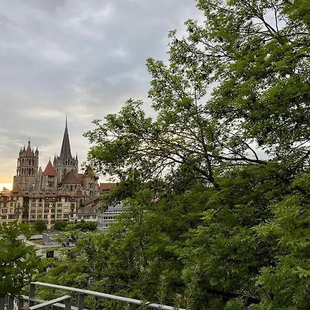 Apartment Luxury Duplex With Rooftop, View Of Cathedral *